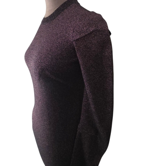 Alexander Wang Metallic Plum Shimmer Knit Sweater Size Small NWOT - Picture 15 of 16
